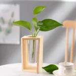 A modern indoor plant display featuring a green leafy plant in a glass vase, supported by a minimalist wooden frame, perfect for adding a touch of nature to your living space.